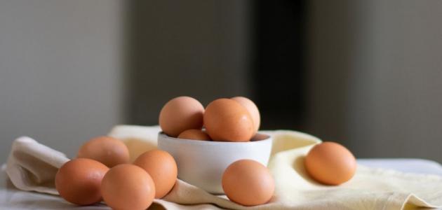 ما هي فوائد البيض لكمال الاجسام