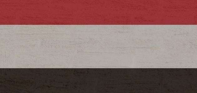 كيف تم تحرير عدن