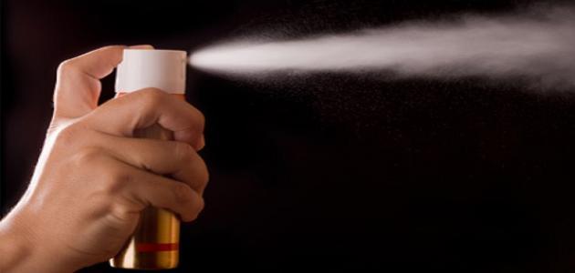كيفية التخلص من حشرات الشعر