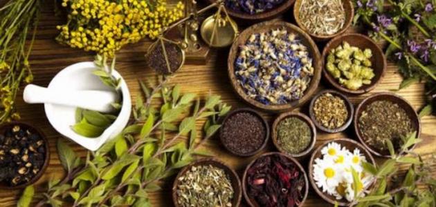 علاج نقص التروية الدماغية بالاعشاب