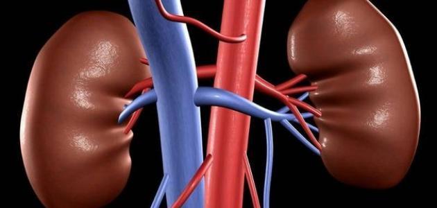 أعراض مرض الكلى