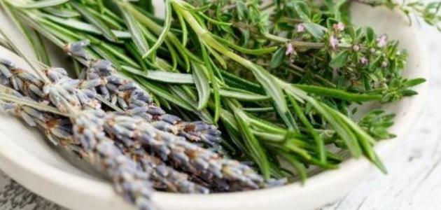 علاج نقص الحديد عند الاطفال بالاعشاب