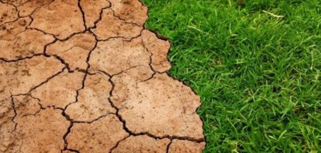 مظاهر تدهور التنوع البيولوجي وأسبابه