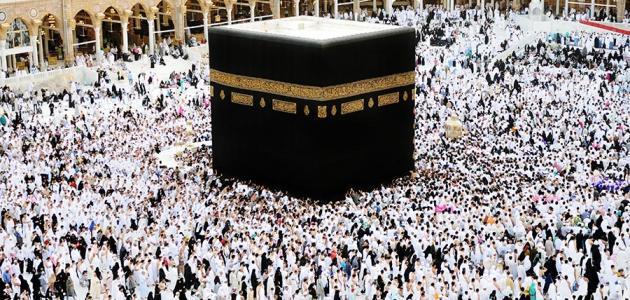عدد سكان المسلمين فى العالم