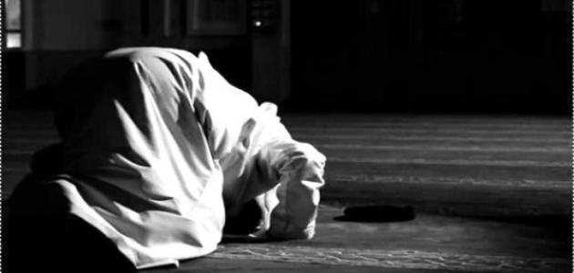 عدد ركعات الفروض الخمسة وسننها