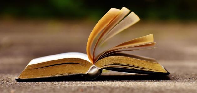 الثقافة والمجتمع في علم الاجتماع